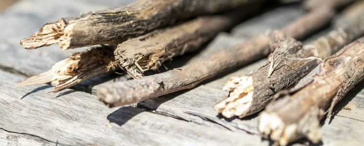 BLT-Sticks found on site were used like wooden dibblers for planting